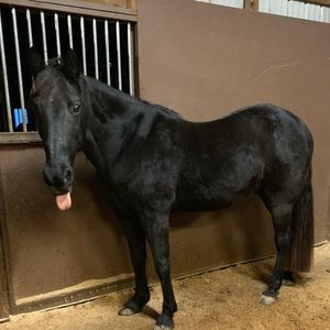 Meet your Posher, Doris